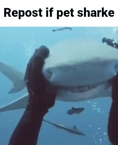 1751900571275.gif